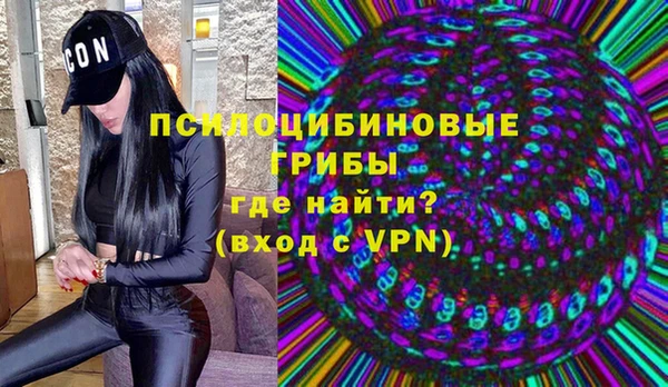 бошки Богородск