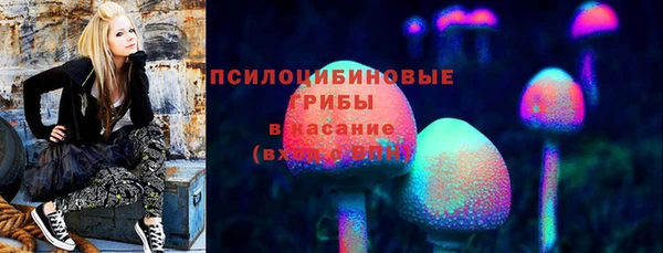 каннабис Богданович